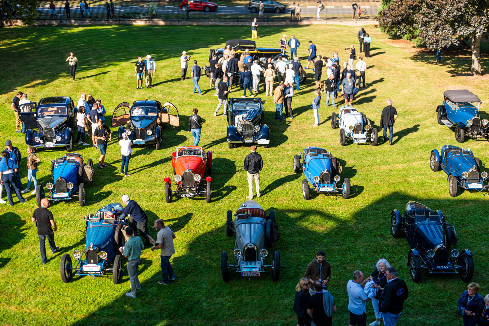 Festival Bugatti